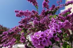 Apartamenty Mark Apartament 1 – Ap1 foto 3