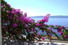 Apartamenty Mark Apartament 1 – Ap1 foto 4