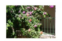 Apartamenty Majica Apartament 2 – A6 foto 4