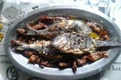 Dom wakacyjny RB SANTINI Apartament 1 – House foto 4