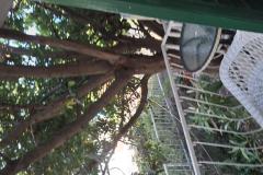 Dijana Beach Dom Apartament 1: (14+4) – Villa Dija foto 5