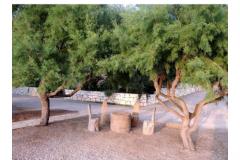 Apartamenty Mirjana  Apartament 3 – A2 foto 4