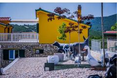 Luxury villa Cvita Apartament 1: (18+4) – VillaCvita foto 3