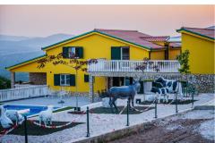 Luxury villa Cvita Apartament 1: (18+4) – VillaCvita foto 5