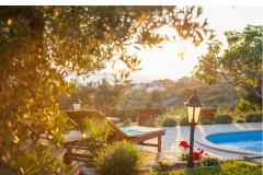 Rustic Oliveto Apartament 1 – Rustic foto 2