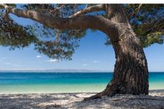 Vila Ventus Apartament 3 – Studio APP foto 1