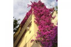 Vila Ventus Apartament 3 – Studio APP foto 4