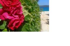 Luxury Villa Marin Apartamenty Apartament 3 – Olea foto 1