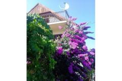 Dom Marino Apartament 1 – marino foto 2