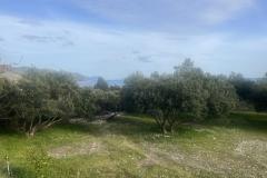 Sun Vila Apartament 4 – Kuća foto 1