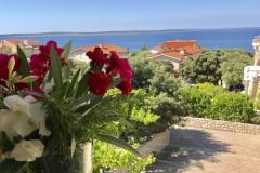 Apartamenty Villa Ana Apartament 3 – A5 foto 5