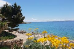 Stargo Apartamenty Apartament 2 – Blue foto 1