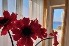 Stargo Apartamenty Apartament 2 – Blue foto 2