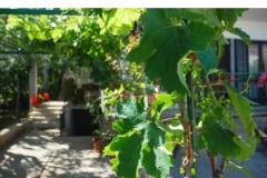 Apartamenty Danica Apartament 1 – APP 1 foto 2