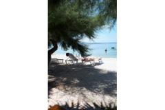 Apartamenty Antonia Apartament 1 – Apartman foto 5