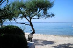 Apartamenty Antonia Apartament 3 – ap 4+2 foto 4