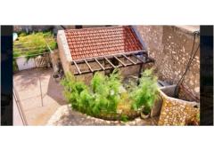 Petra Apartamenty Apartament 6 – House foto 1