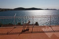 Apartamenty Bebe Apartament 1 – terasa foto 2