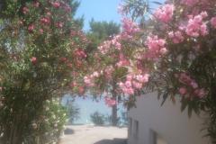 Dom wakacyjny Milenka Apartament 2 – apartman foto 3