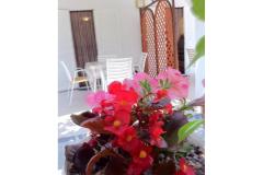 Villa Aura Maris Apartament 2 – Anka foto 2