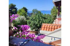 Apartamenty Delfin Apartament 1 – 1.kat foto 1