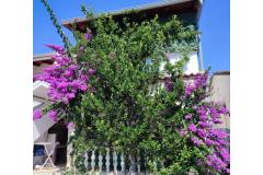 Apartamenty Delfin Apartament 2 – prizemlje foto 1