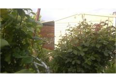 Apartamenty DANI Apartament 1 – HomeM. M4 foto 5