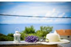 Villa IBIS Apartament 3 – Ap3 foto 1