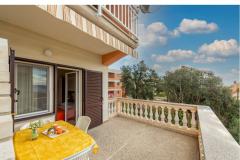 Villa IBIS Apartament 1 – Ap1 foto 3