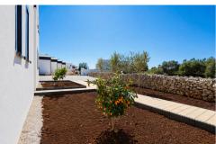 Dalma Park Apartament 1: (6+0) – Natura Lux foto 3