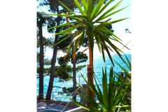 Apartamenty Anita Jelaš Veža Apartament 3 – JELAŠ A4+1 foto 1