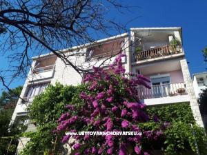 Apartamenty Moso