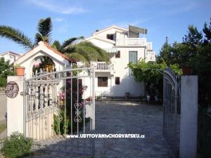 Antonela 