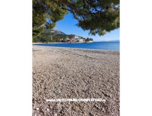 Apartament Anchy