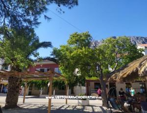 Apartamenty Plavi Jadran
