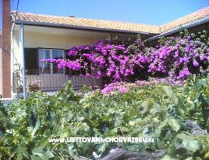Apartamenty Liđa