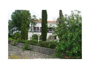 Apartament Sever