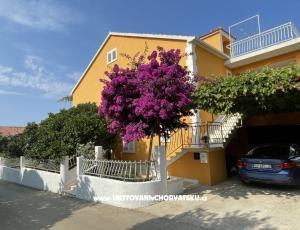 Apartamenty  Ante