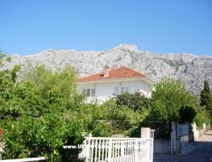Apartamenty Terezija