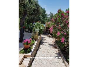 Apartamenty Milena i Robert