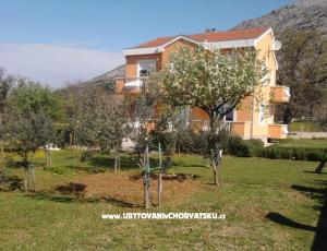 Apartamenty Mirjana***