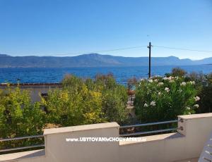 Apartament Nikola´s