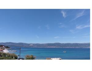 Apartament Tea Slatine