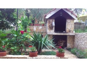 Apartamenty Ivana