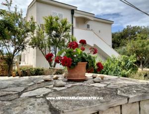 Apartamenty Budija / Viola