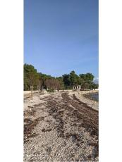 Apartamenty Traum