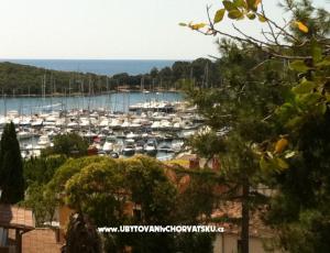 Apartamenty Rakovac Vrsar