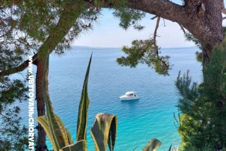 Villa Bratuš foto 2