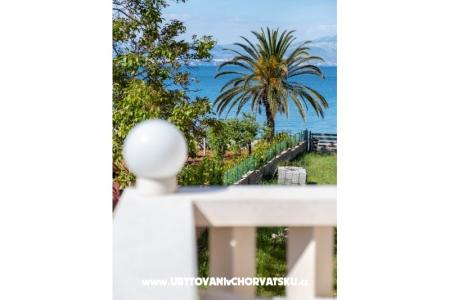 Villa Nelly wyspa Brac Chorwacja