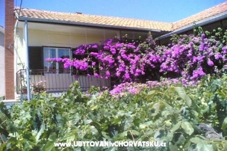 Apartamenty Liđa Sv. Filip i Jakov Chorwacja